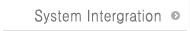 System Intergration